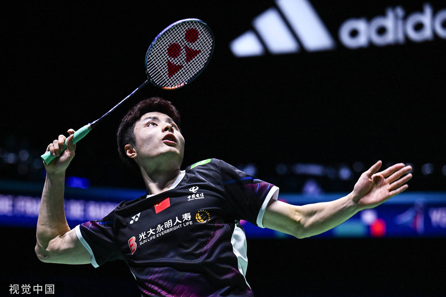 的伟大生涯 的伟大生涯