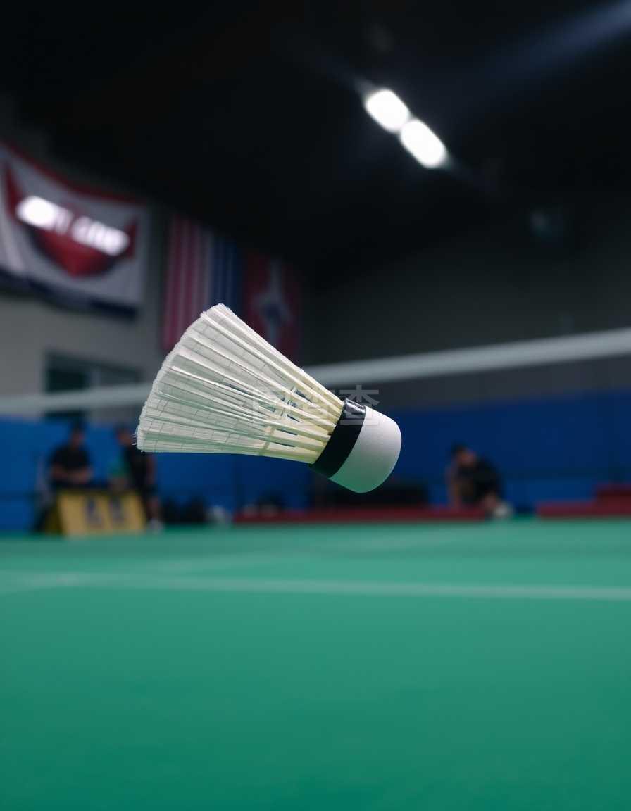 场上优雅 场上优雅