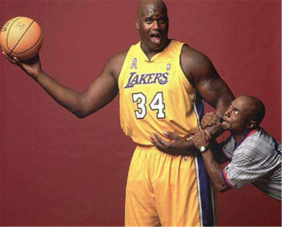 它们共同指 它们共同指